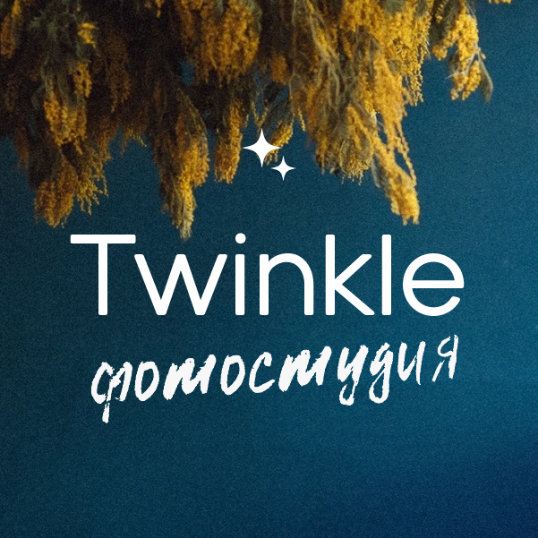 Фотостудия Twinkle